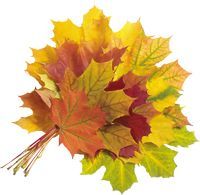 ������� �����