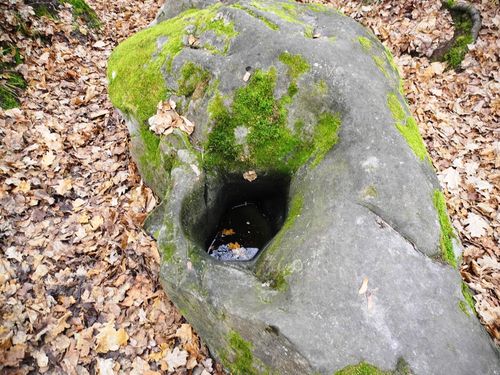 ����������� �� ������ ���� - ������ �������