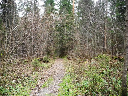 ����������� �� ������ ���� - ������ � ������� ��������