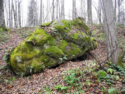 ����������� �� ������ ���� - ������, ������� �� �������