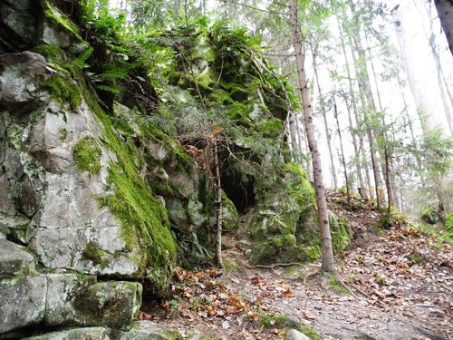 ����������� �� ������ ���� - ������ � �������� ��������