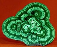 ������� ��� ������� �� �������