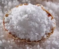 ���� ��� ���������