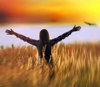 ������� �� ���������